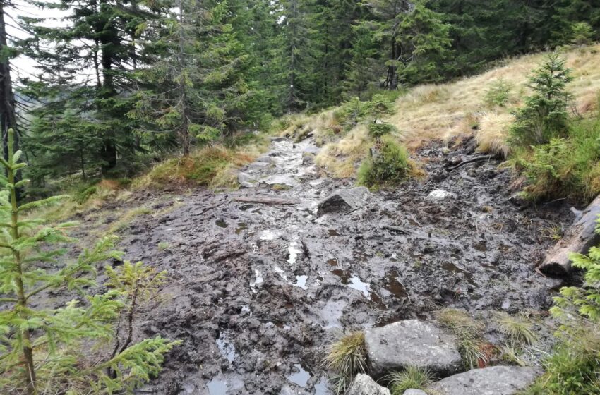  „Kładki pod adidaski” – czyli o remoncie szlaków w Karkonoskim Parku Narodowym