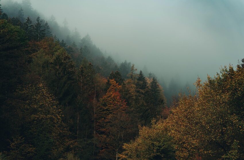  Warunki pogodowe w górach ulegną pogorszeniu – IMGW ostrzega przed silnym wiatrem